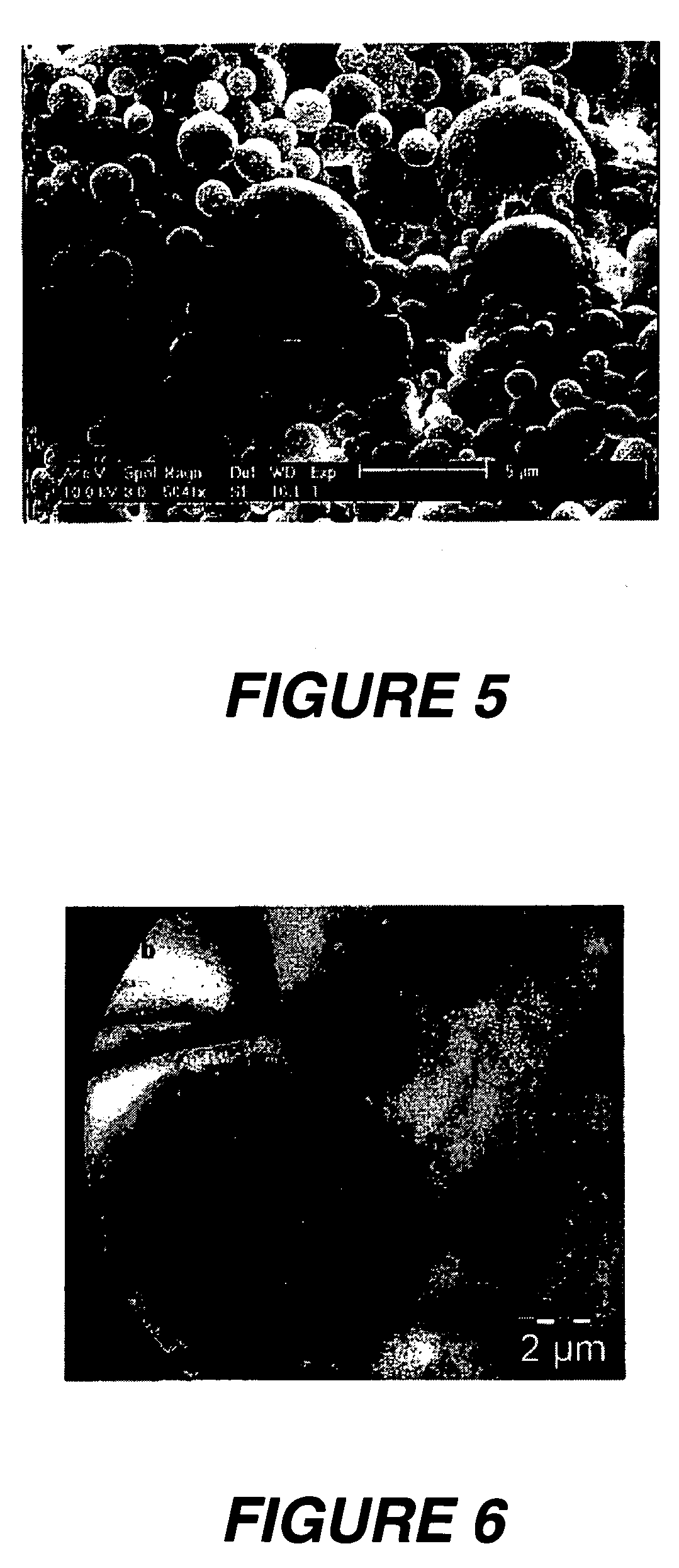 Polymersome compositions and associated methods of use