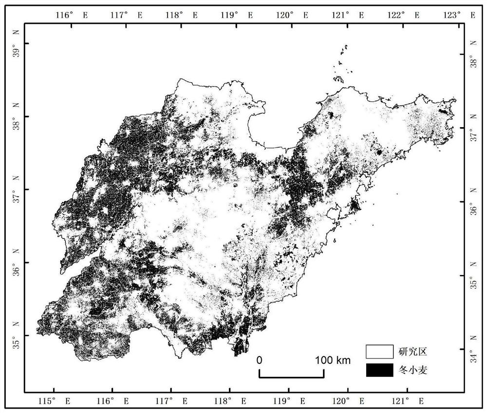 A method and system for crop yield spatialization