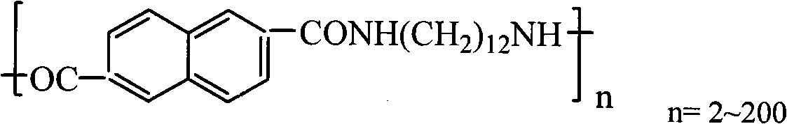 Long carbon chain condensed ring semi-aromatic nylon and synthetic process thereof