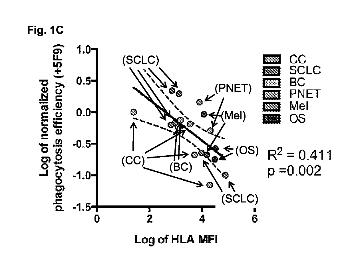 Compositions and methods for inducing phagocytosis of MHC class I positive cells and countering anti-CD47/SIRPA resistance