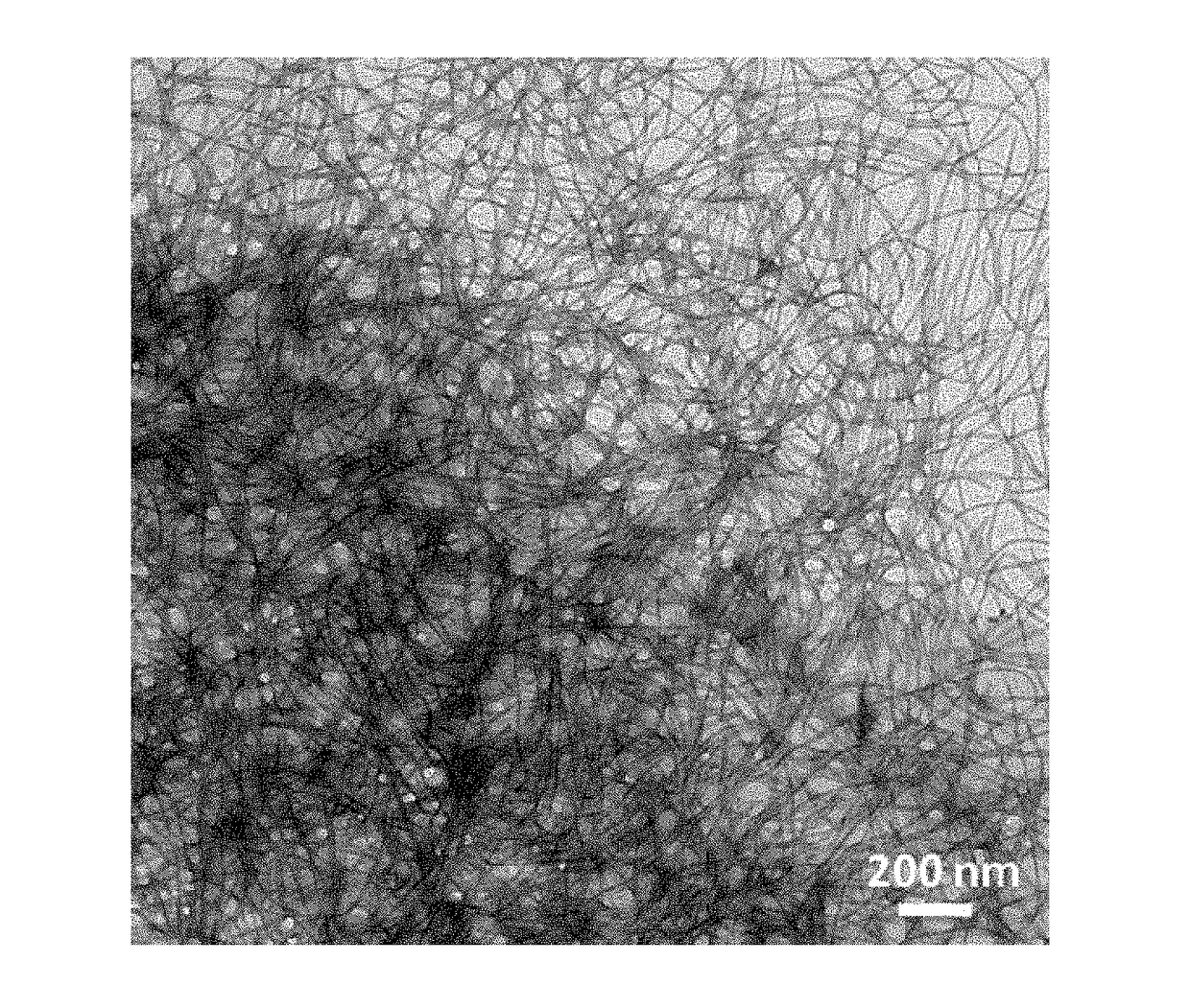 Compositions and methods relating to living supramolecular polymerization and polymers