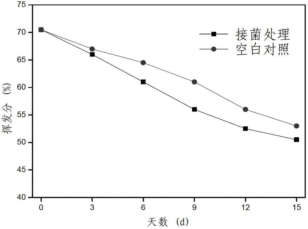 Geobacillus sp. UTM01 and application thereof