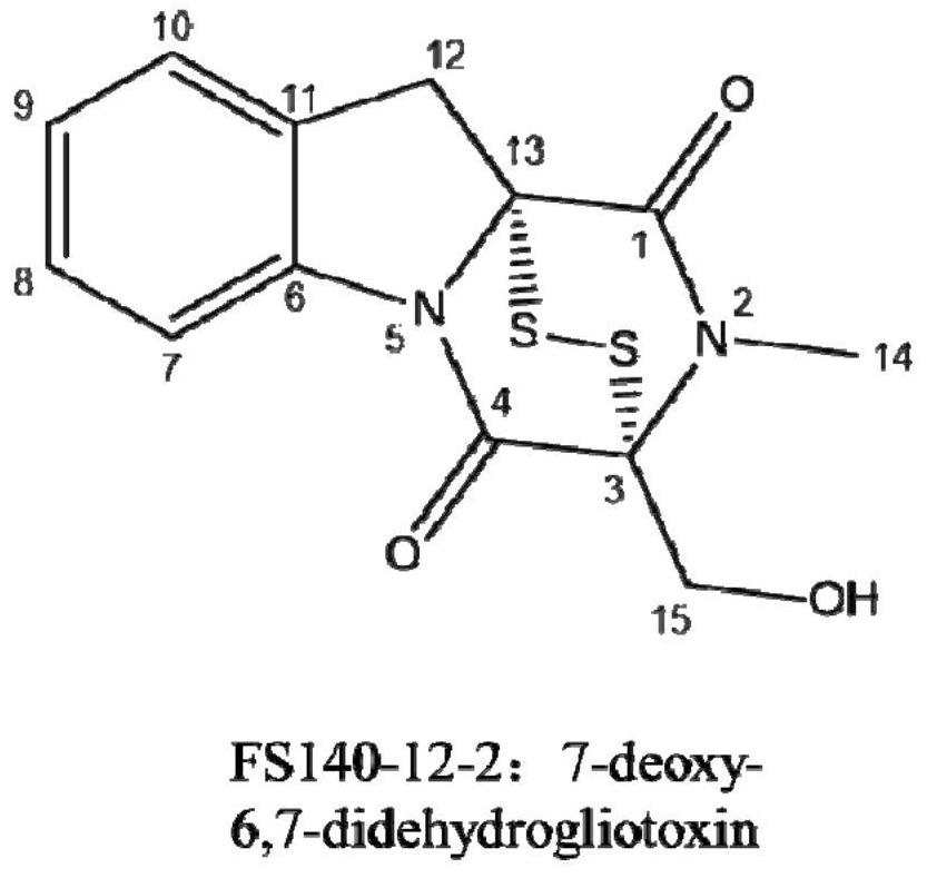 Deep-sea fungus FS140 anti-gliotoxin self-protection gene GliM and application thereof