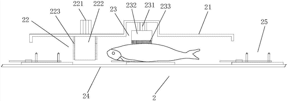 Automatic fish processing system