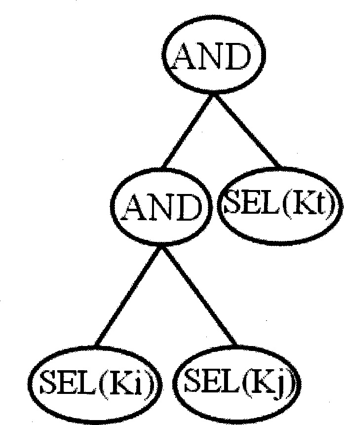 Connection sequence inquiry optimizing method based on column-storage model