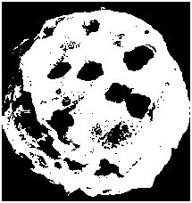 Starch microsphere and preparation method thereof