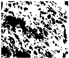 Starch microsphere and preparation method thereof