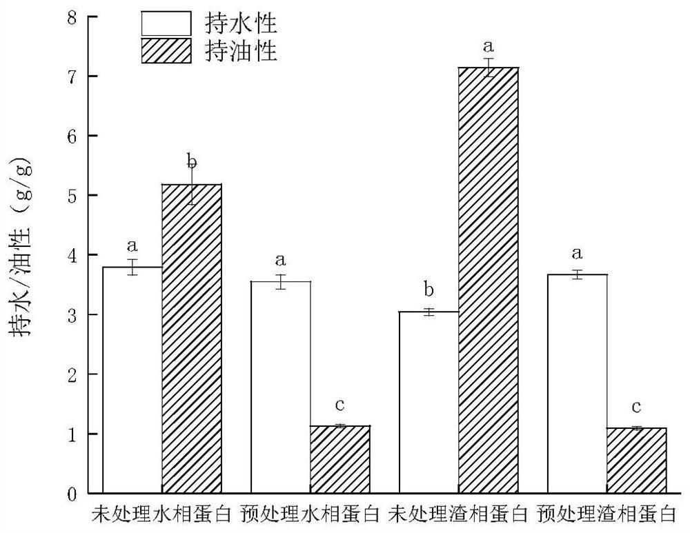 Method for preparing fructus cannabis protein with high oil holding capacity and emulsifying activity