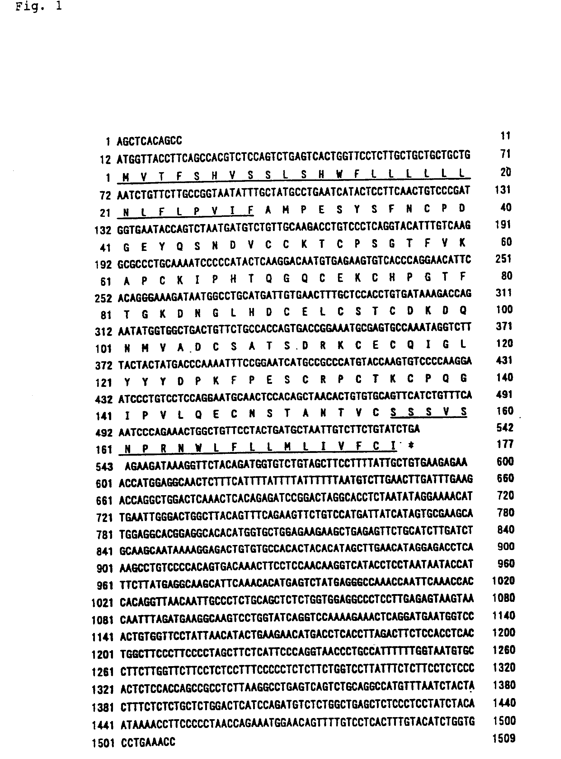 Novel secretory membrane protein