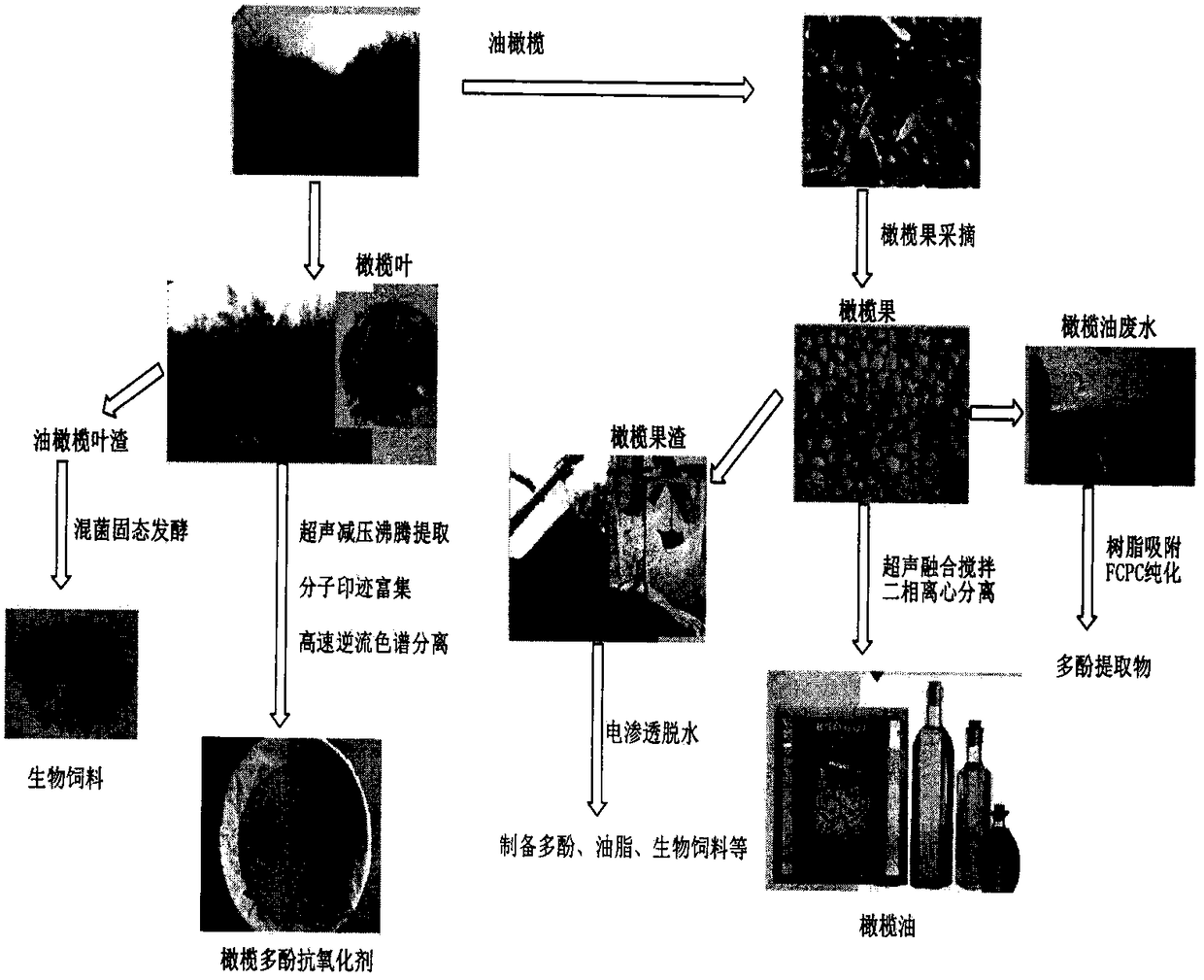 High-quality olive oil processing and waste pomace recycling method