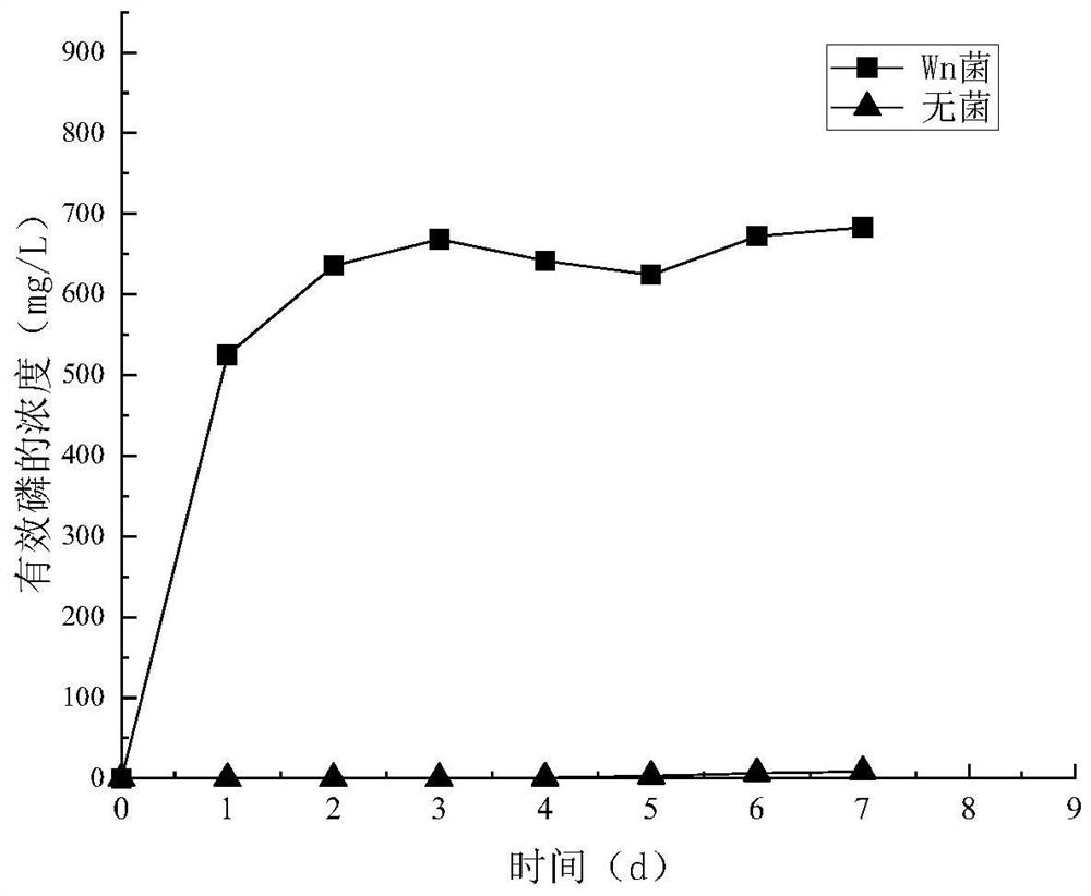 Enterobacter aerogenes and klebsiella aerogenes combined fungicide, composition and application