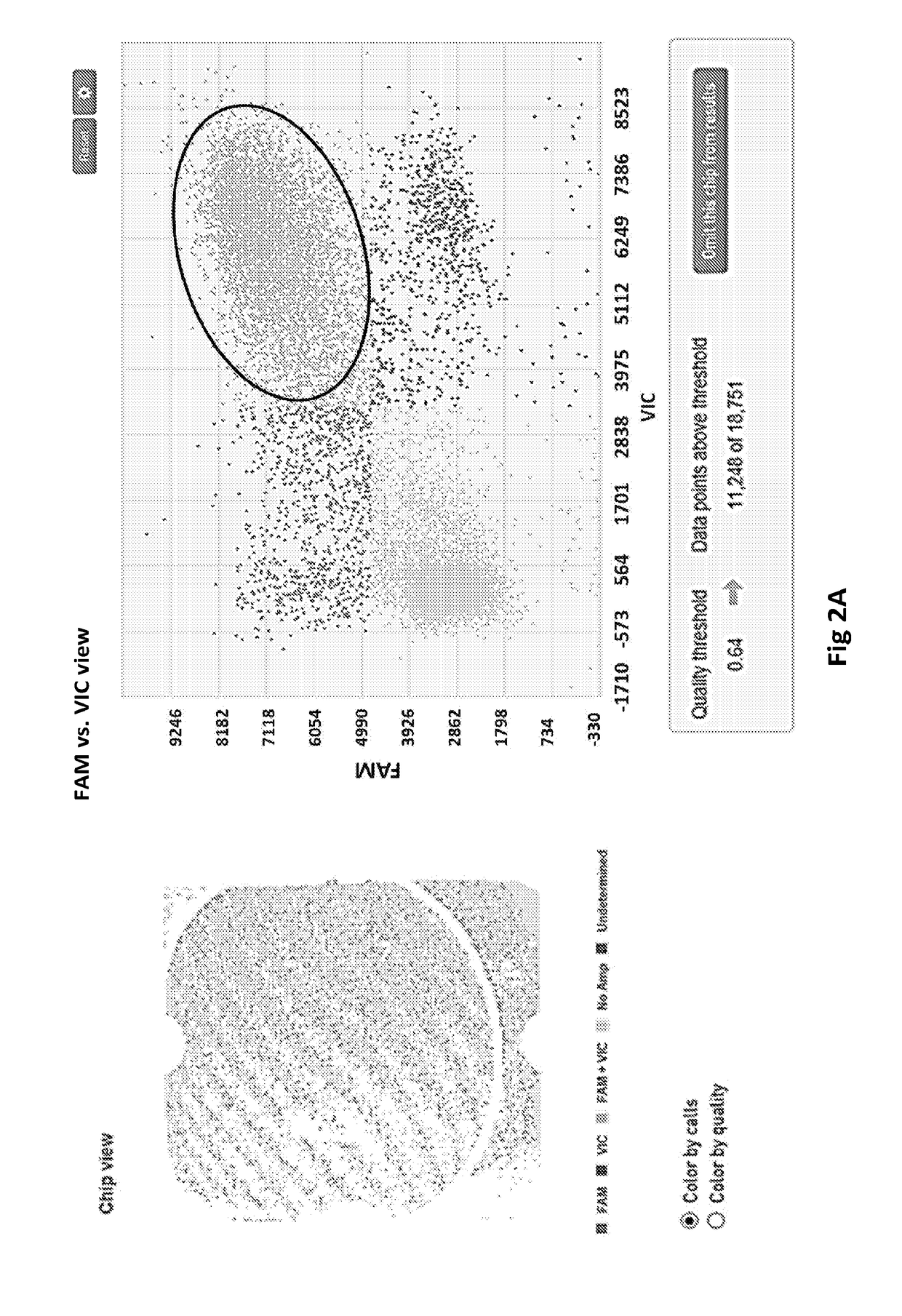 Co-detection and association of multiple genes from the same genome in a sample