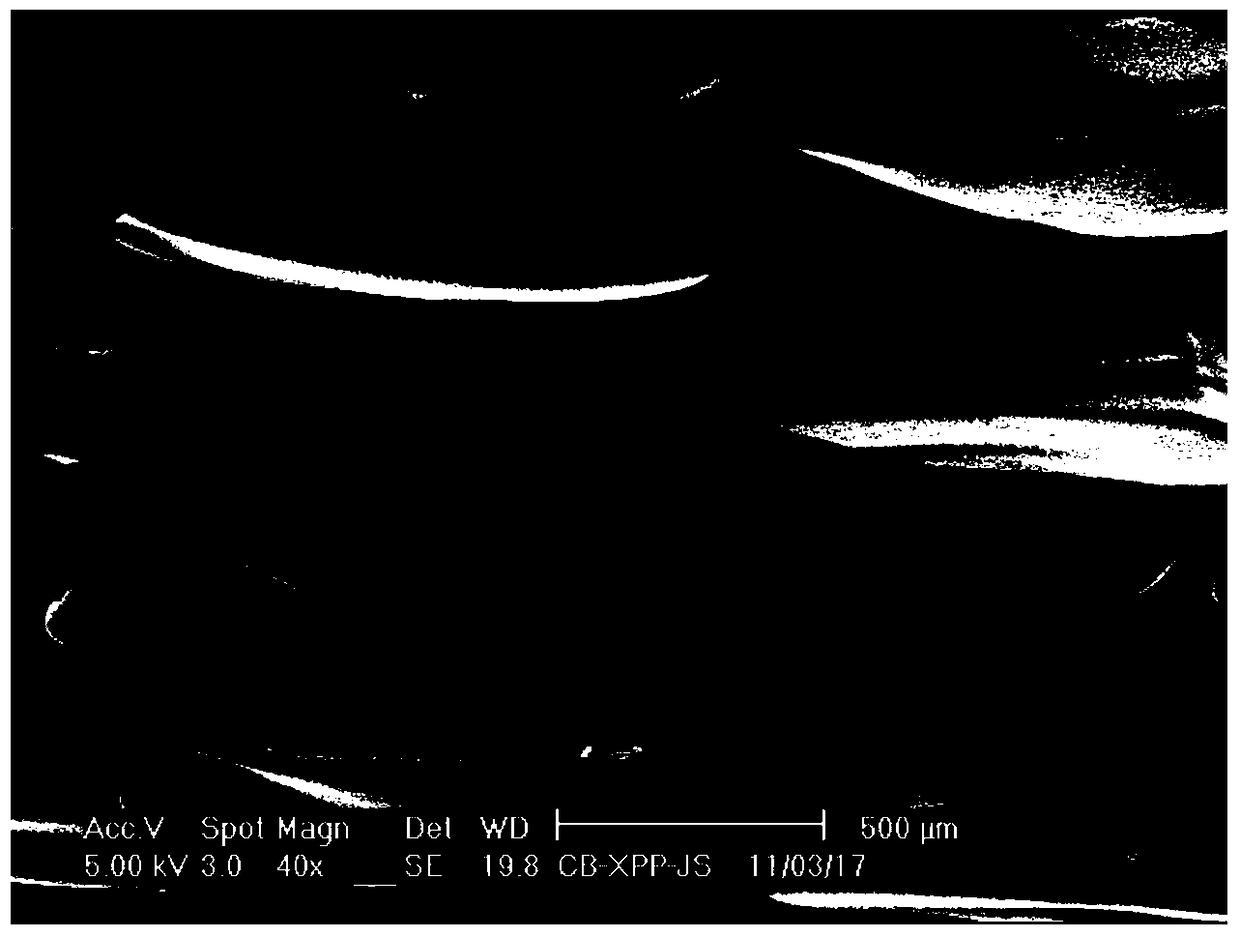 A high-melt strength impact-resistant polypropylene foam board and its preparation method