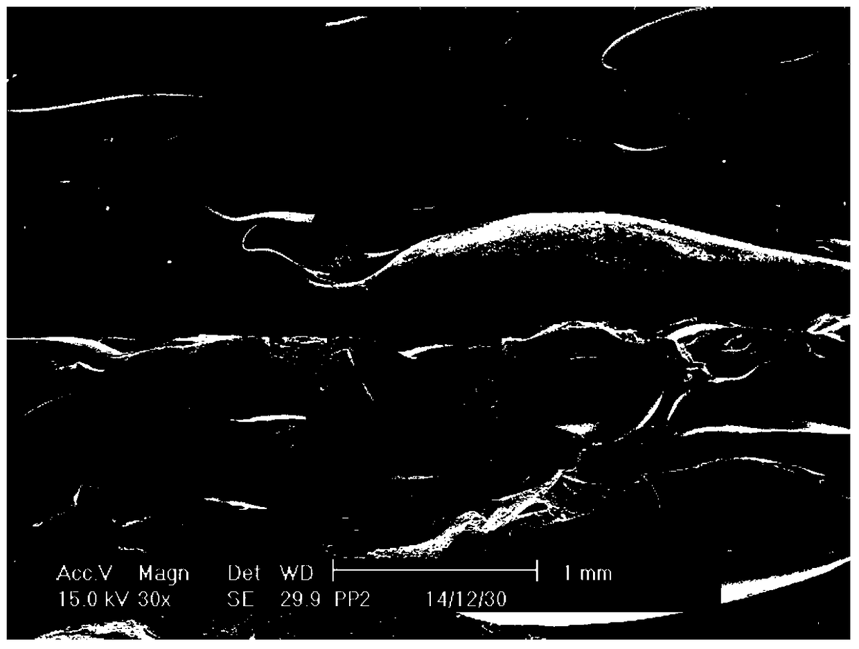 A high-melt strength impact-resistant polypropylene foam board and its preparation method