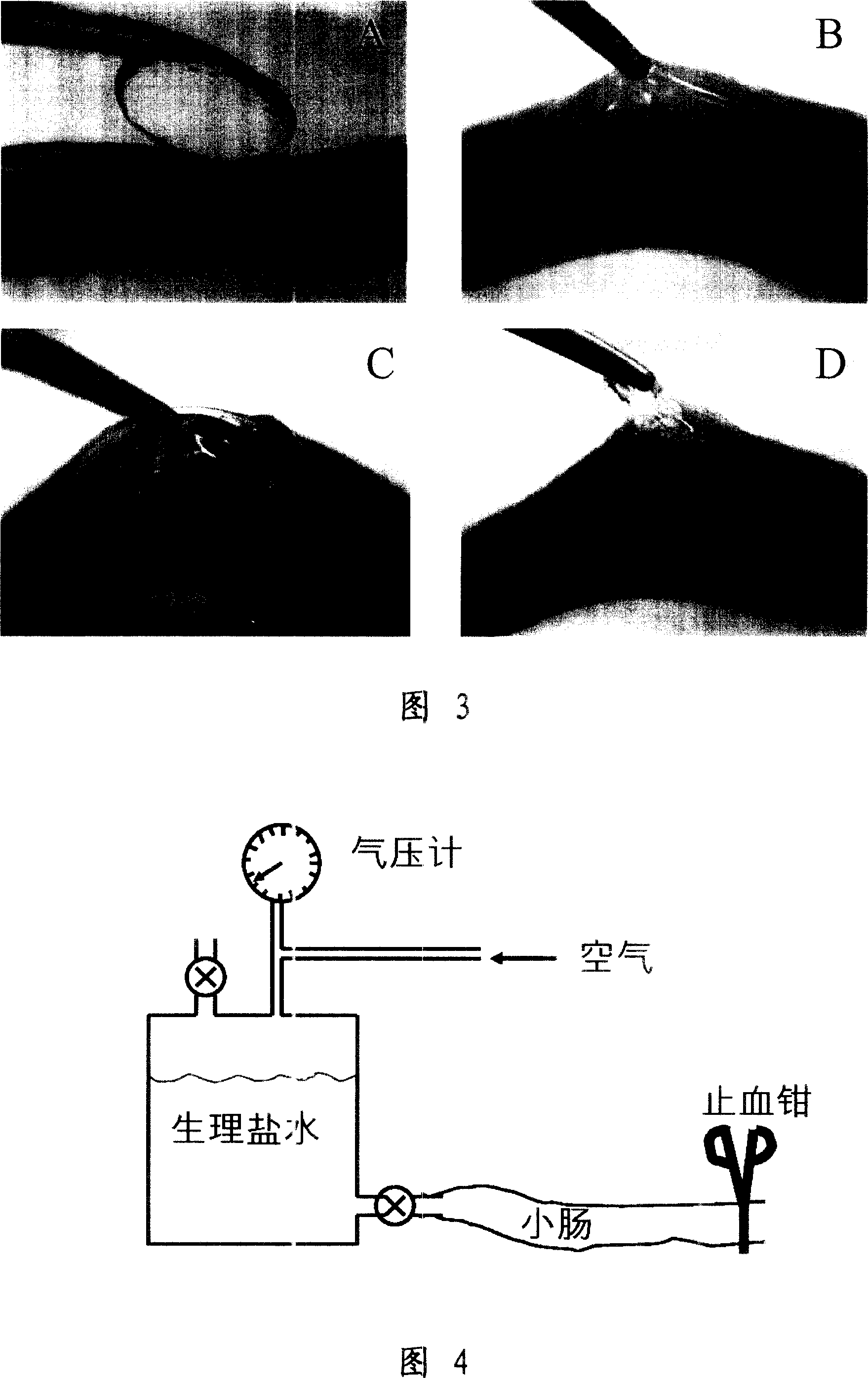 Biological coupling material and its preparing method