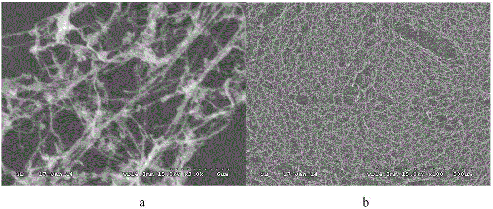 An electrochemical immunosensor and its preparation and application