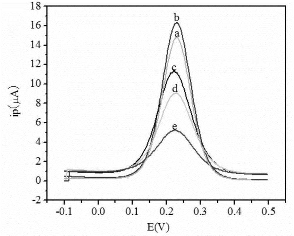 An electrochemical immunosensor and its preparation and application