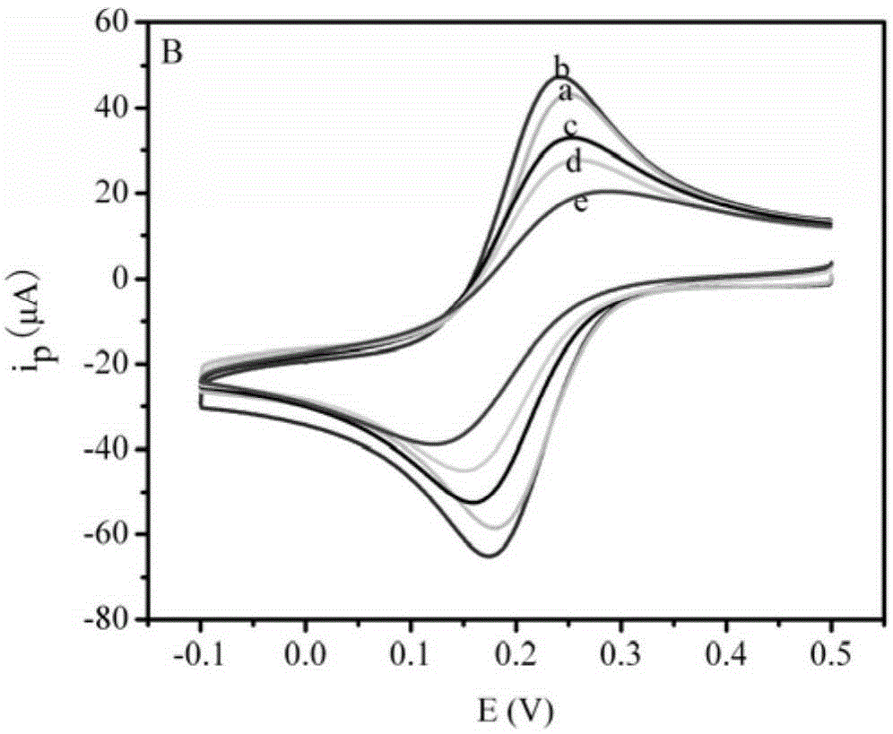 An electrochemical immunosensor and its preparation and application