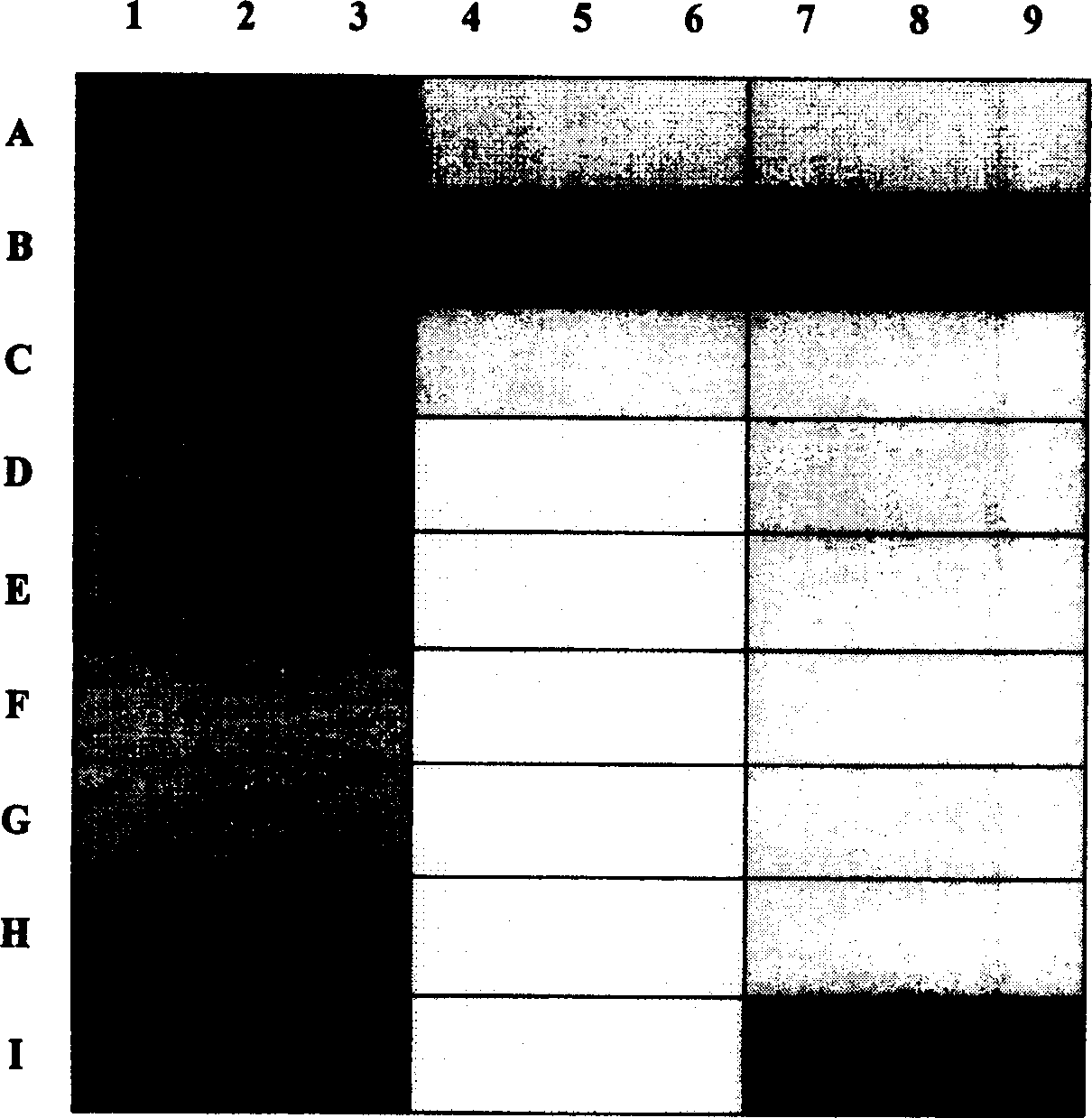 Asymmetrical PCR amplification method, dedicated primer and use thereof