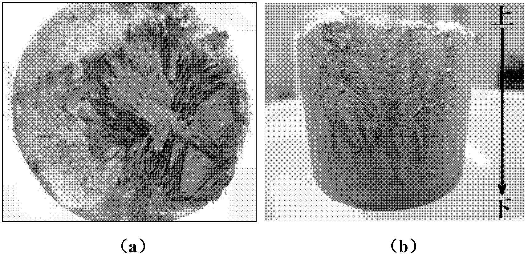 Method for preparing zirconia gradient porous ceramics with ice as template