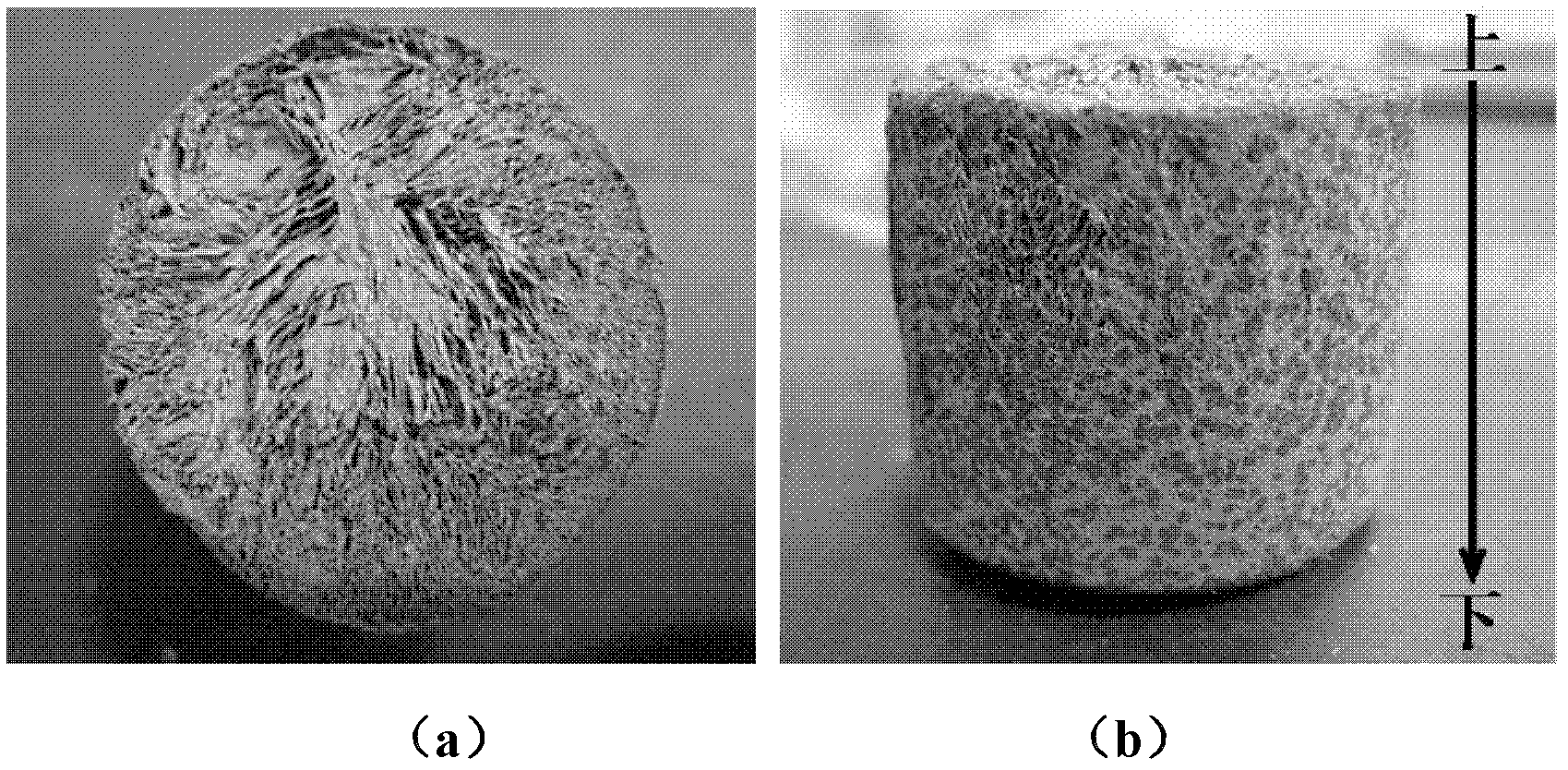 Method for preparing zirconia gradient porous ceramics with ice as template