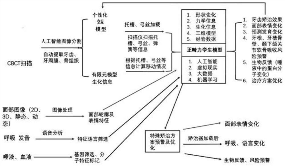 Mapping system and establishing method for digital twinborn model of oral tooth maxillofacial neck