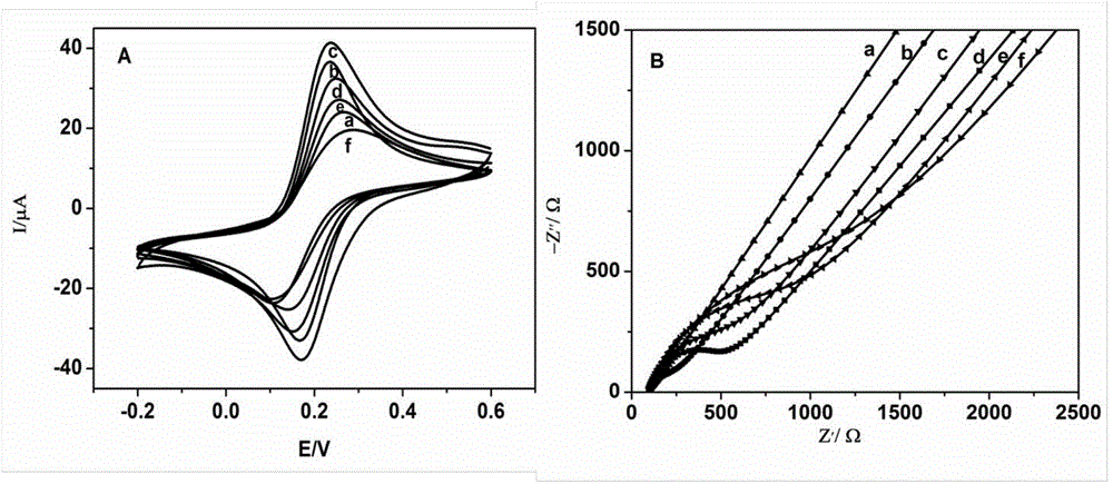 DNA sensor for detecting staphylococcus aureus as well as preparation method and application of DNA sensor