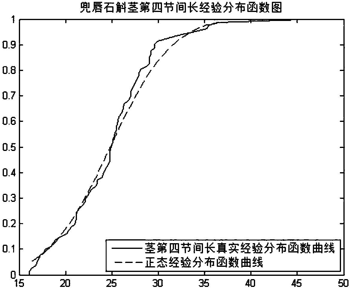 Establishment process of judgment method for purebred similarity of dendrobium aphyllum, judgment standard and judgment method