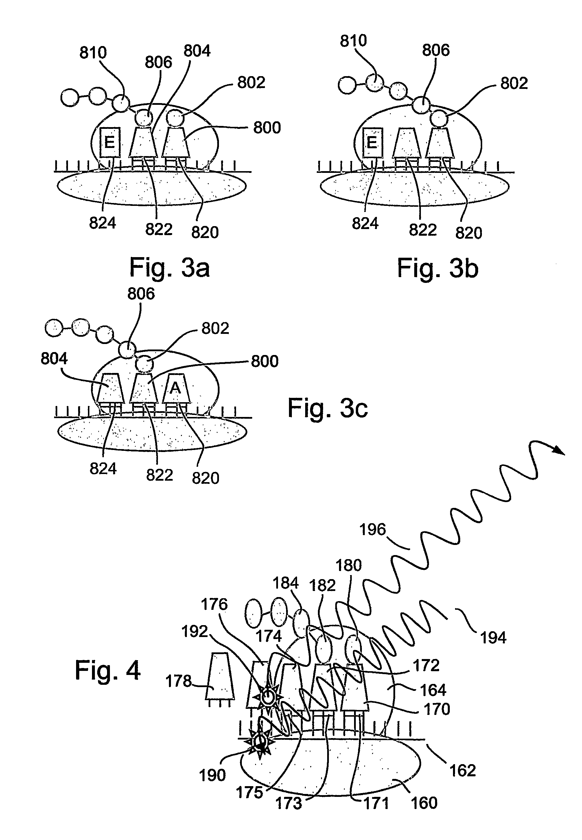 Protein synthesis monitoring (PSM)