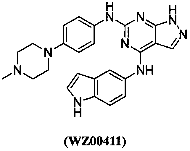 A pyrazolo[5,6-d]pyrimidine EGFR inhibitor and its antitumor activity