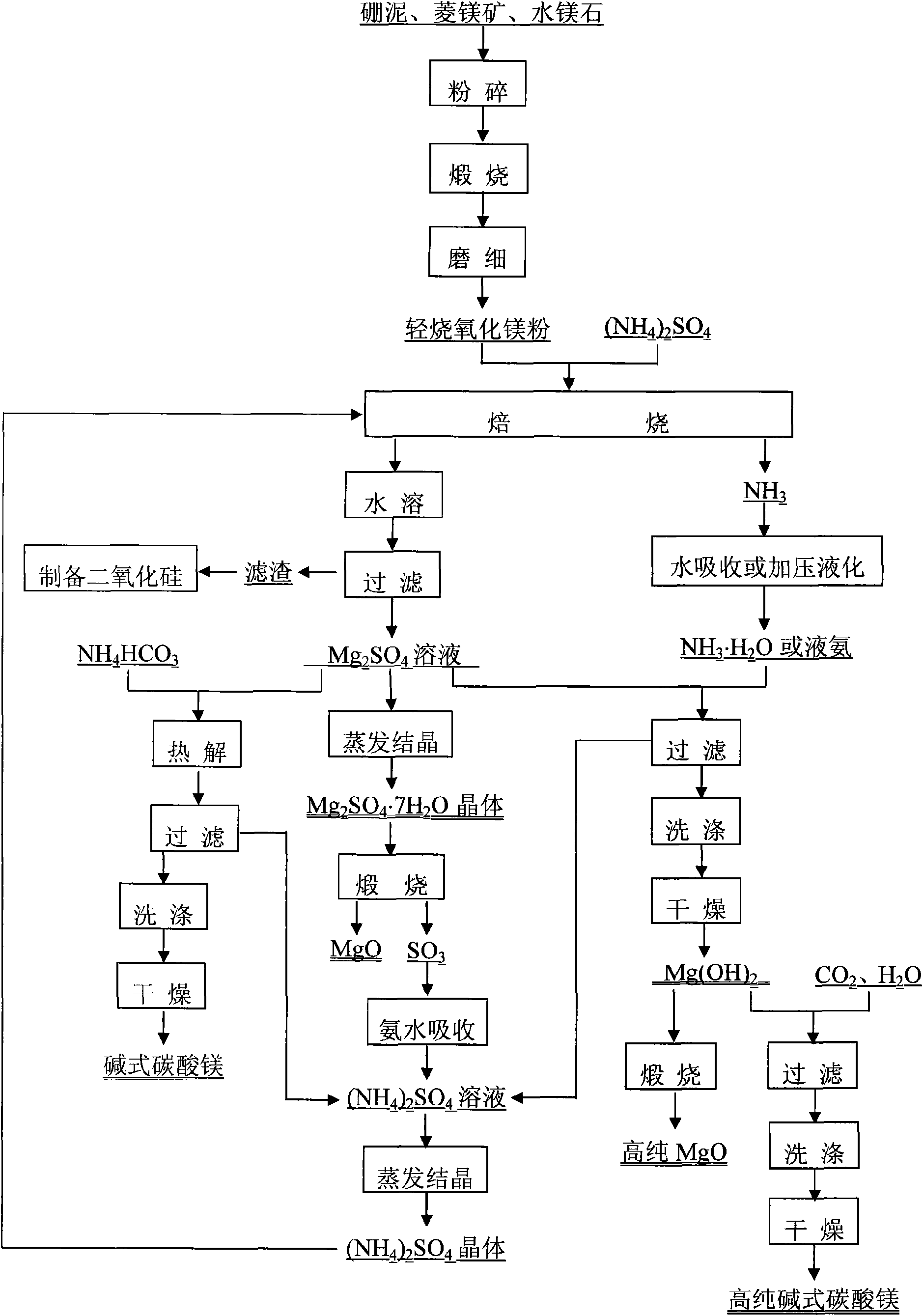 Method for producing series magnesia chemical products by using material containing magnesium