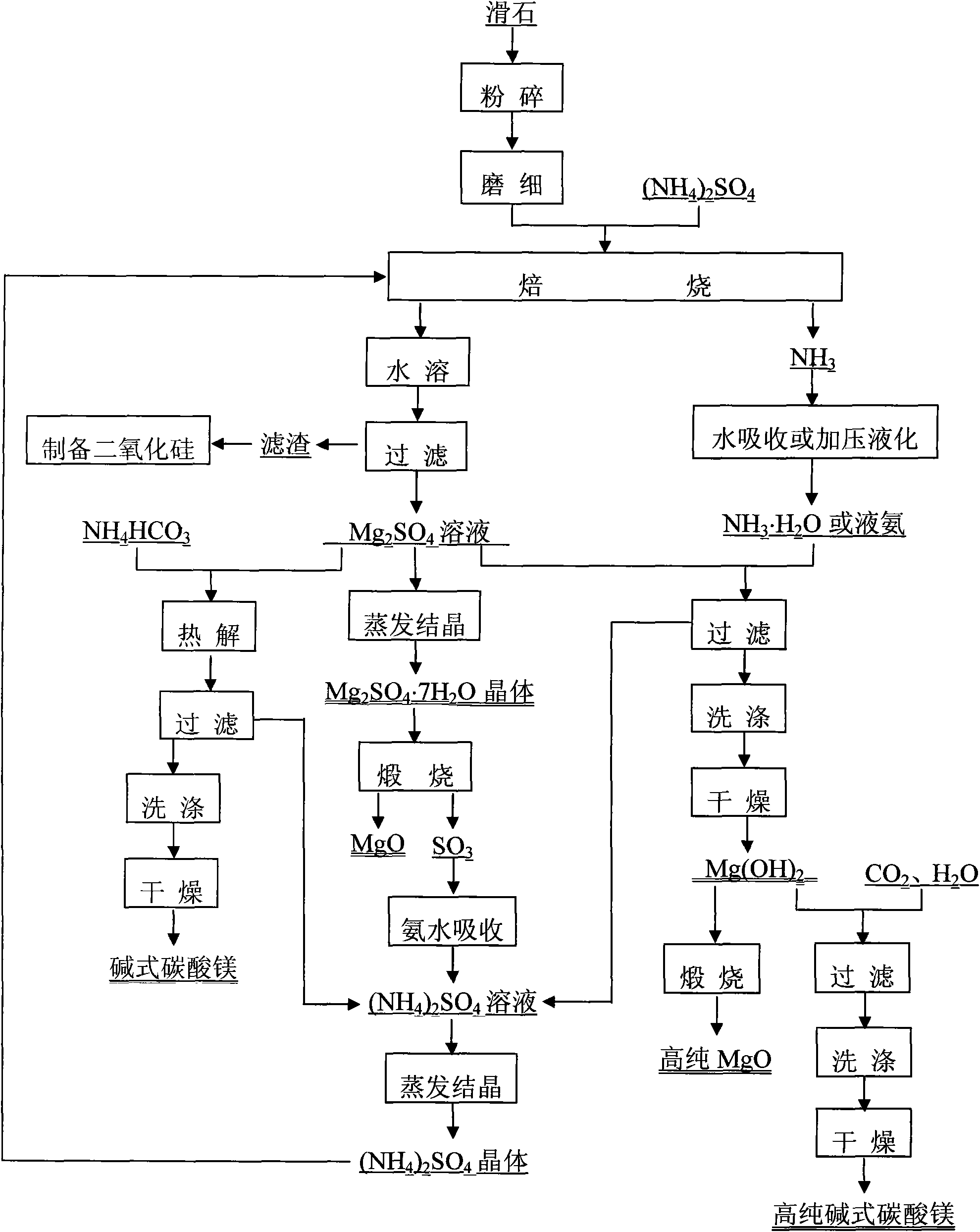 Method for producing series magnesia chemical products by using material containing magnesium