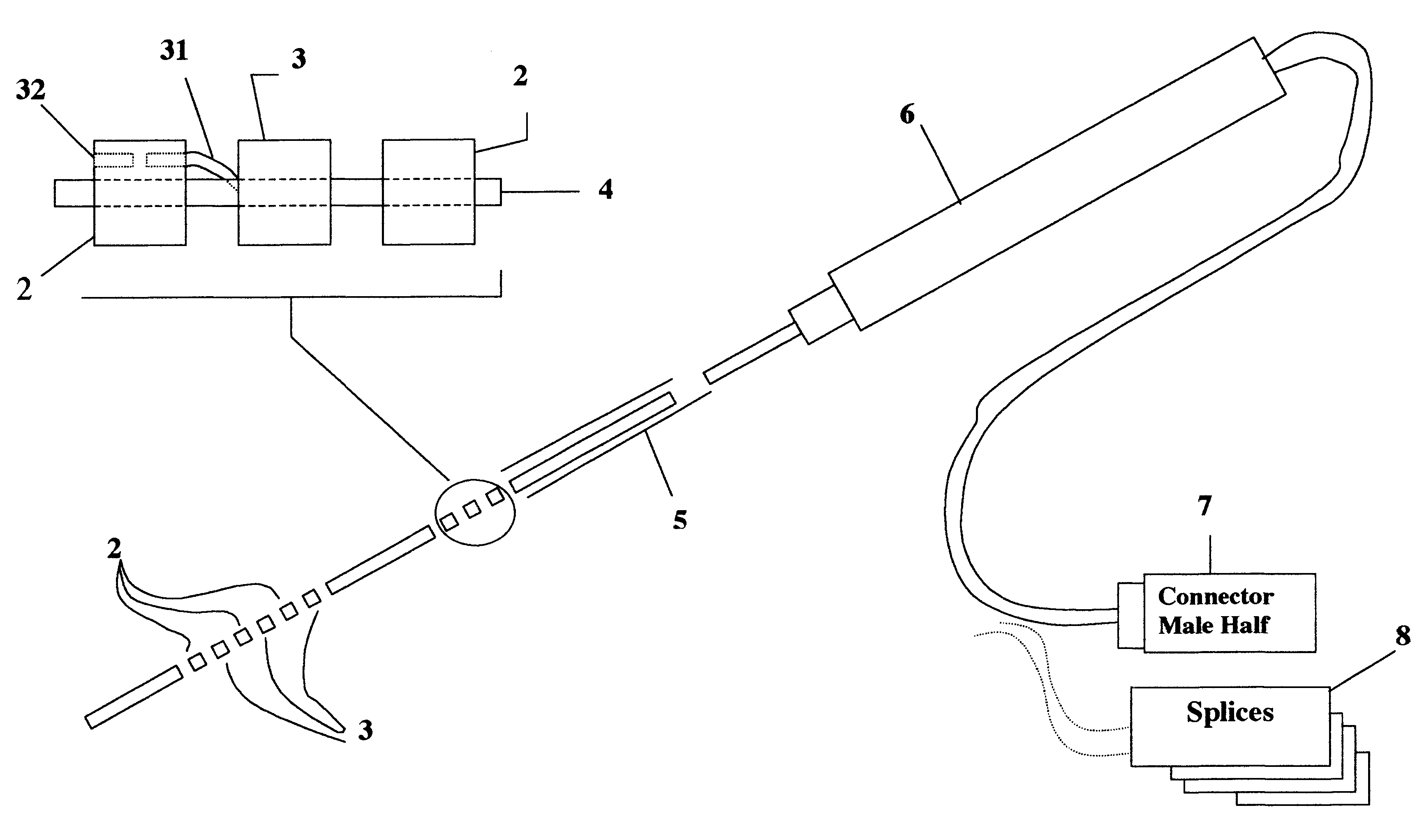 Motility analysis, display, and interpretation system