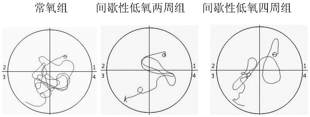 Intermittent hypoxia method and application thereof in aspect of improving cognitive function