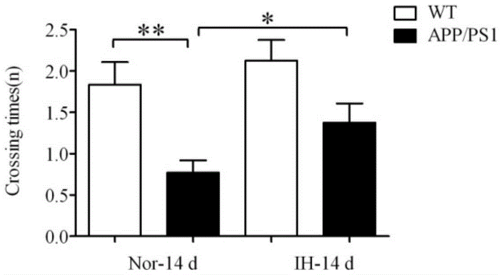 Intermittent hypoxia method and application thereof in aspect of improving cognitive function