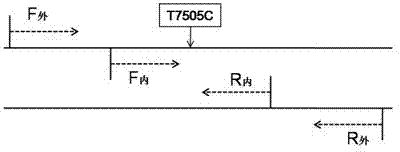 Kit for detecting deaf related mitochondrial T7505C mutation, and application thereof