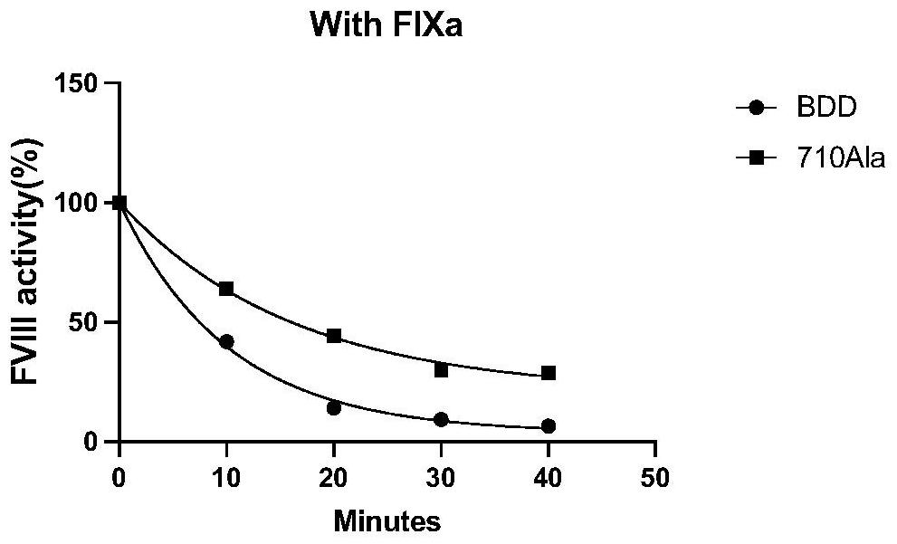 High-activity blood coagulation factor VIII or VIII polypeptide variant Gly710Ala