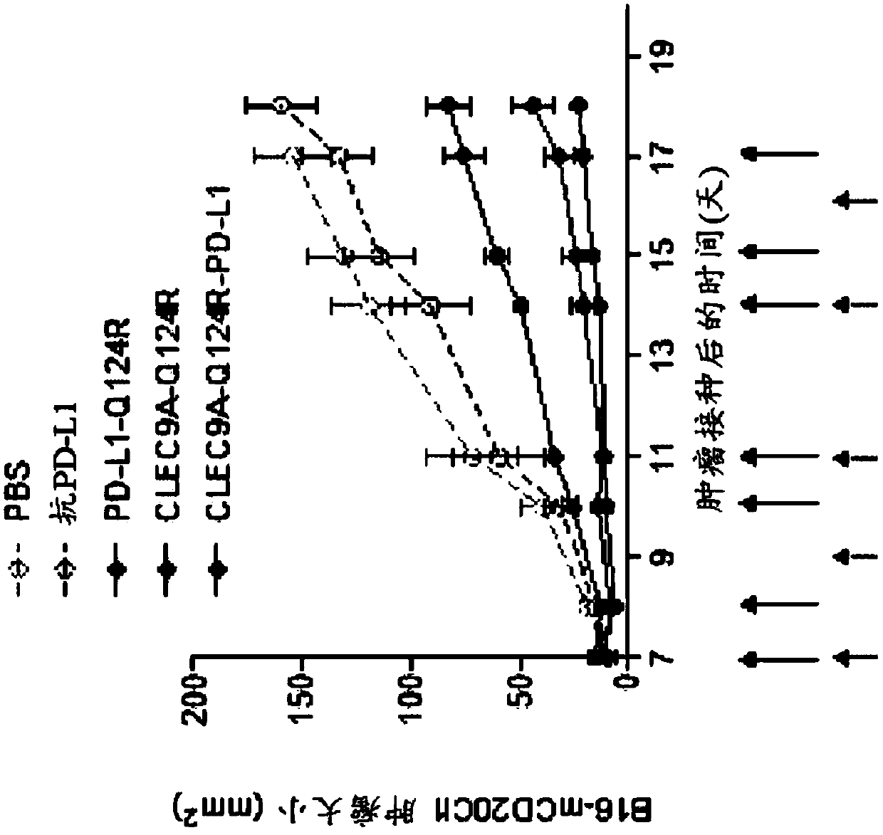 Bispecific signaling agents and uses thereof