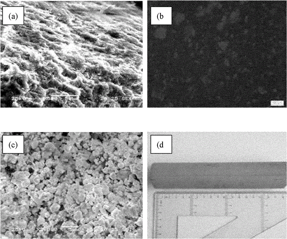 Extrusion forming agent and preparation and use thereof