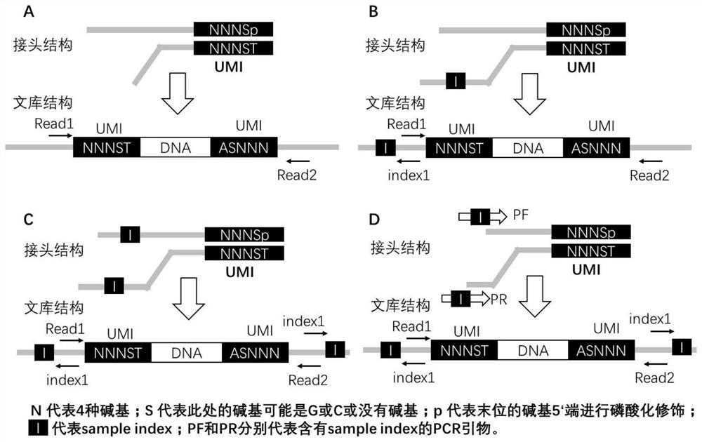 Double-end molecular index adapter, its use and sequencing library with the adapter