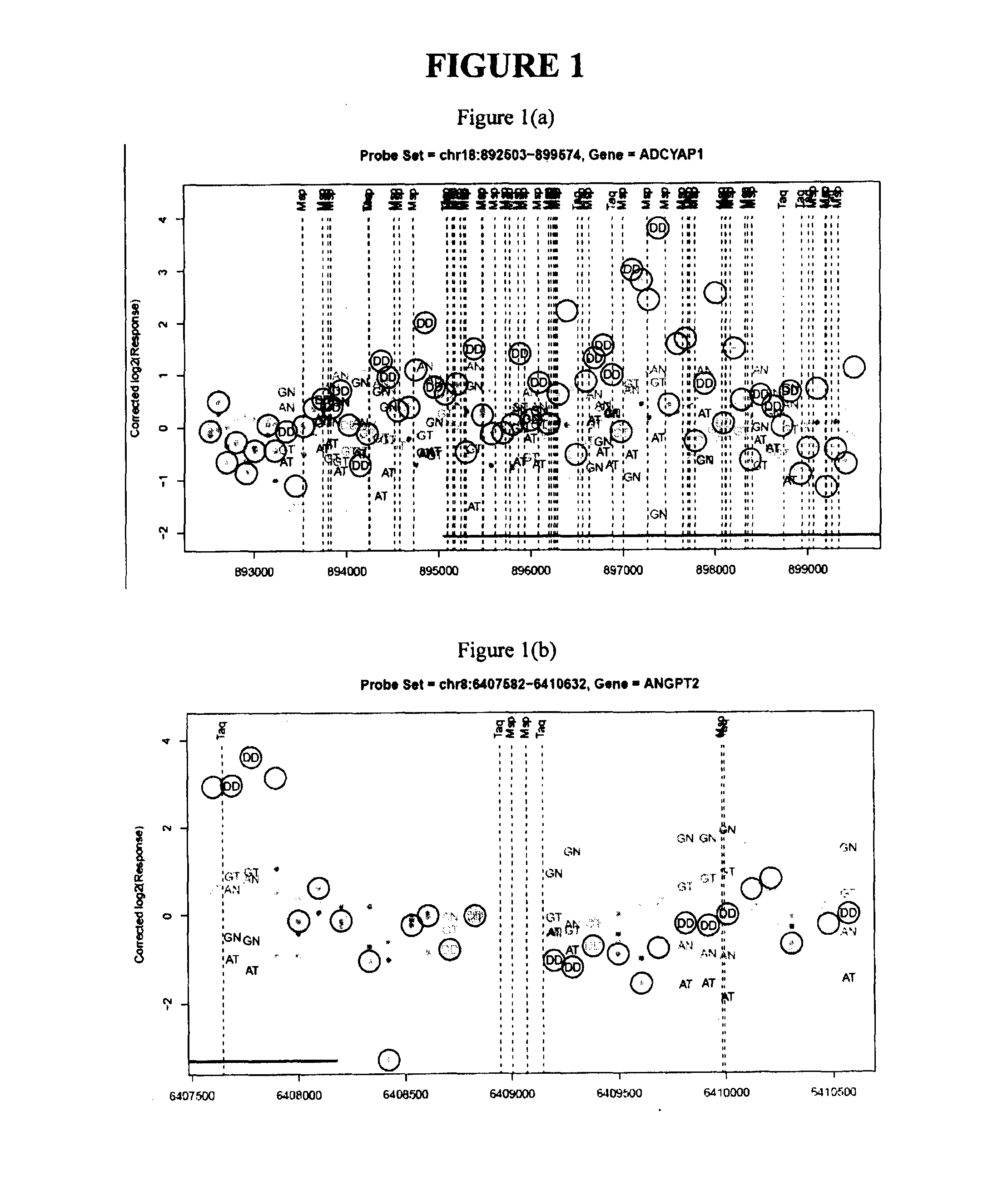 Epigenetic markers of colorectal cancers and diagnostic methods using the same