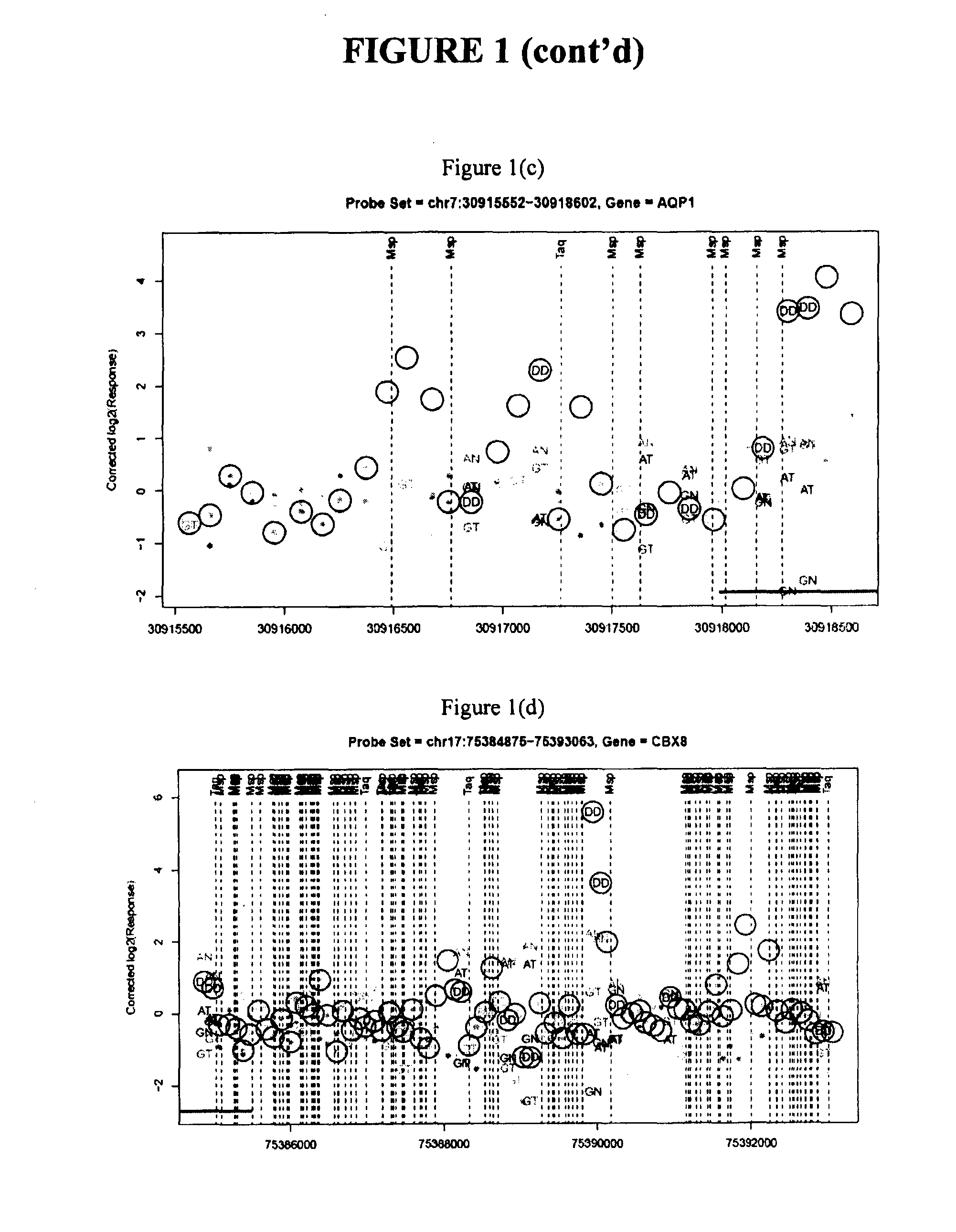 Epigenetic markers of colorectal cancers and diagnostic methods using the same