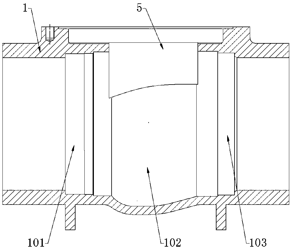 A Top Entry Axial Flow Check Valve