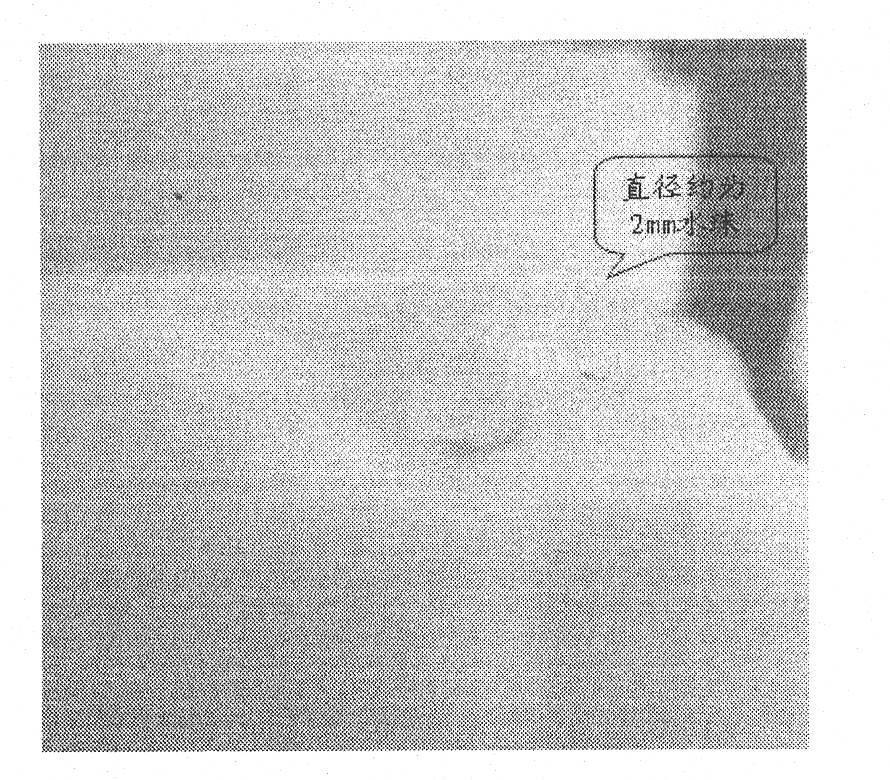 Method for preparing super-hydrophobic silica aerogel at normal pressure