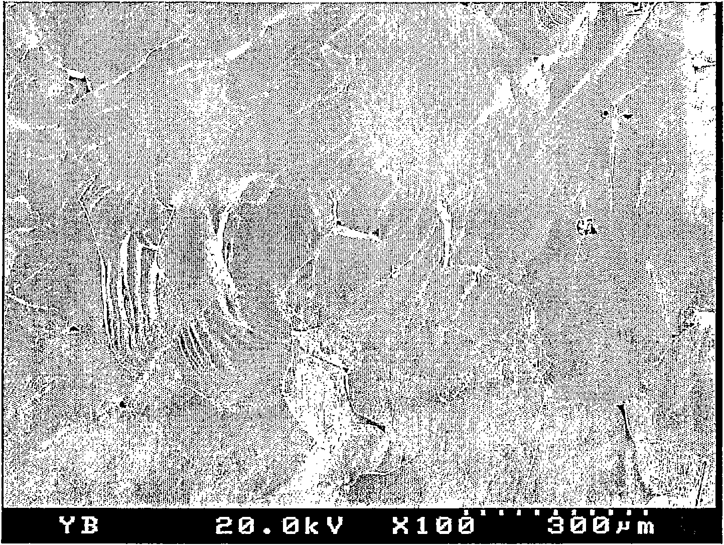 Method for manufacturing transparent polycrystalline aluminum oxynitride