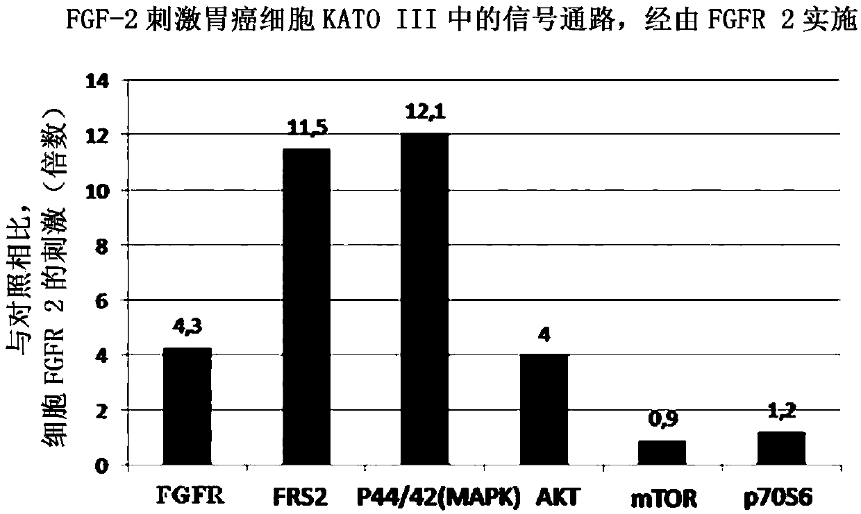 Selective inhibitors that interfere with the interaction of fibroblast growth factor receptor and Frs2 for the prevention and treatment of cancer and other diseases