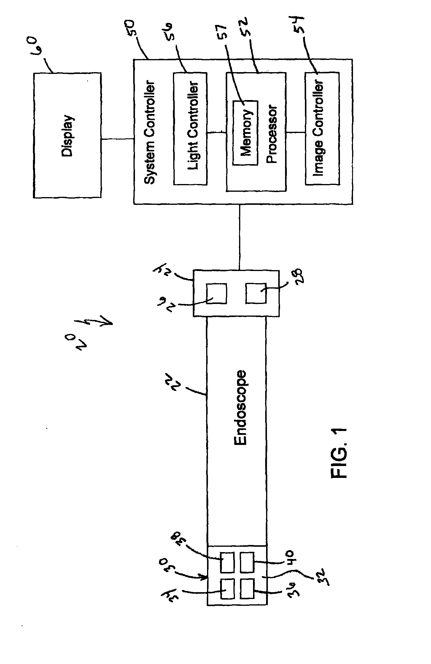 Endoscope with distal tip having encased optical components and display orientation capabilities