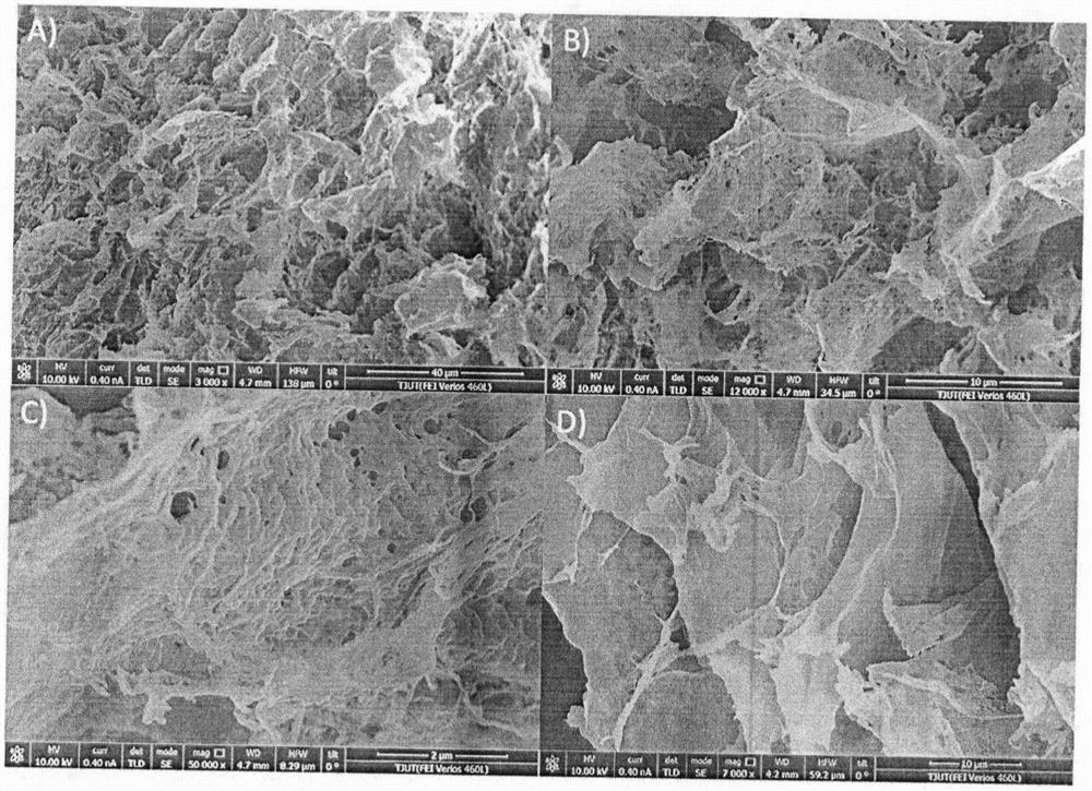 Cellulose carbon aerogel for adsorbing oil pollutants