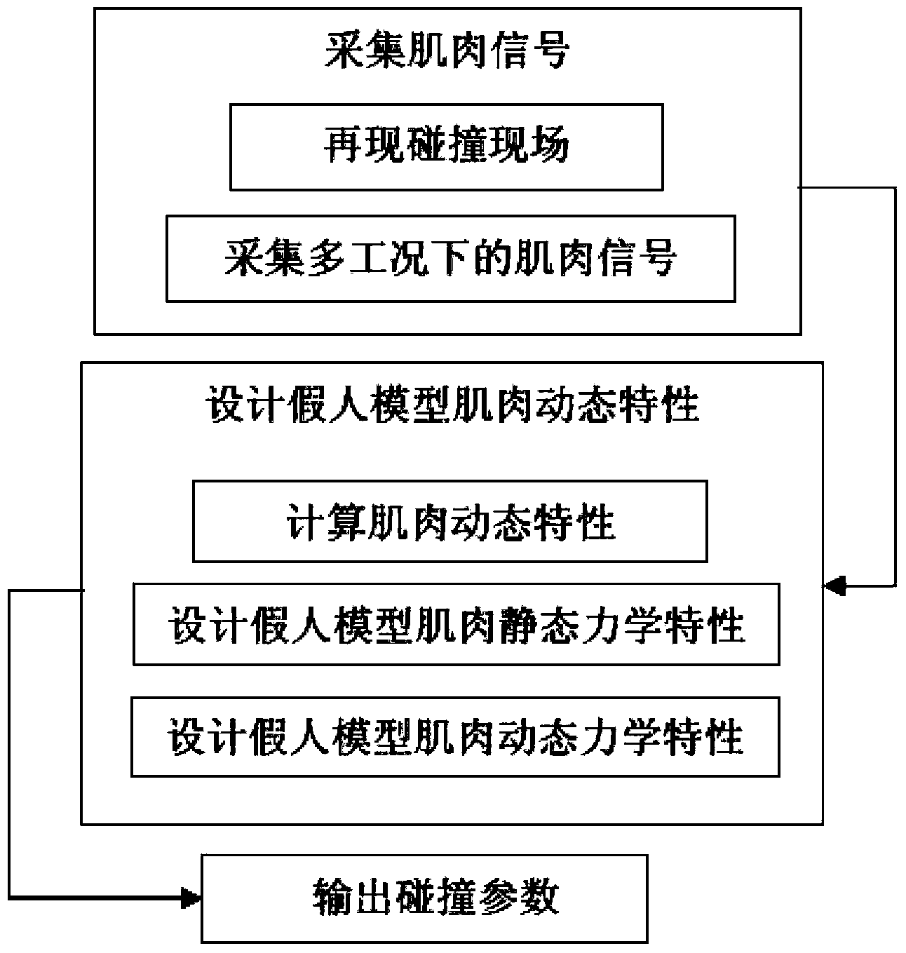 Collision dummy model design method reflecting muscle dynamic characteristics of driver