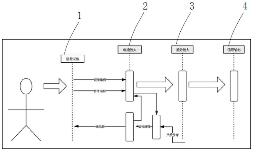 Electroencephalogram amplifier